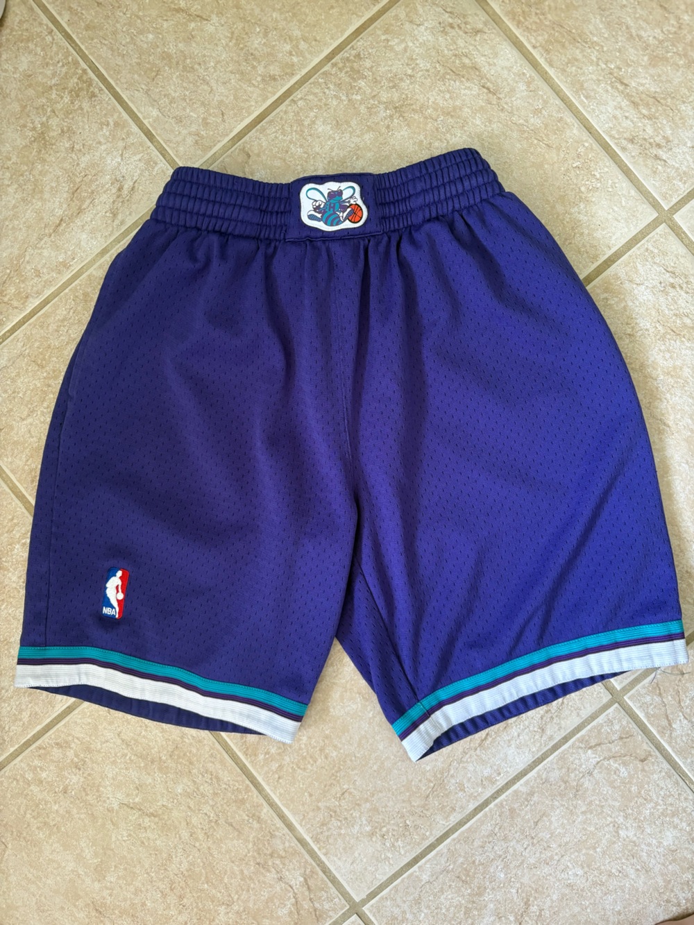Mitchell and Ness NBA Charlotte Hornets 1994-95 Swingman Shorts men’s Small